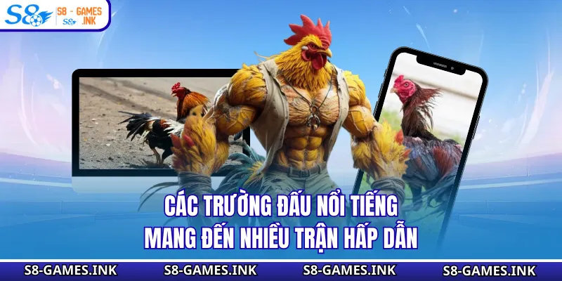 Các trường đấu nổi tiếng mang đến nhiều trận hấp dẫn