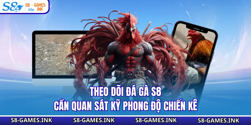 Theo dõi đá gà S8 cần quan sát kỹ phong độ chiến kê